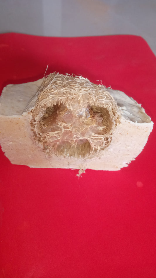 Why Loofah in Bathing Products