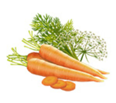 गृञ्जनकम् - Gentle Gel Serum