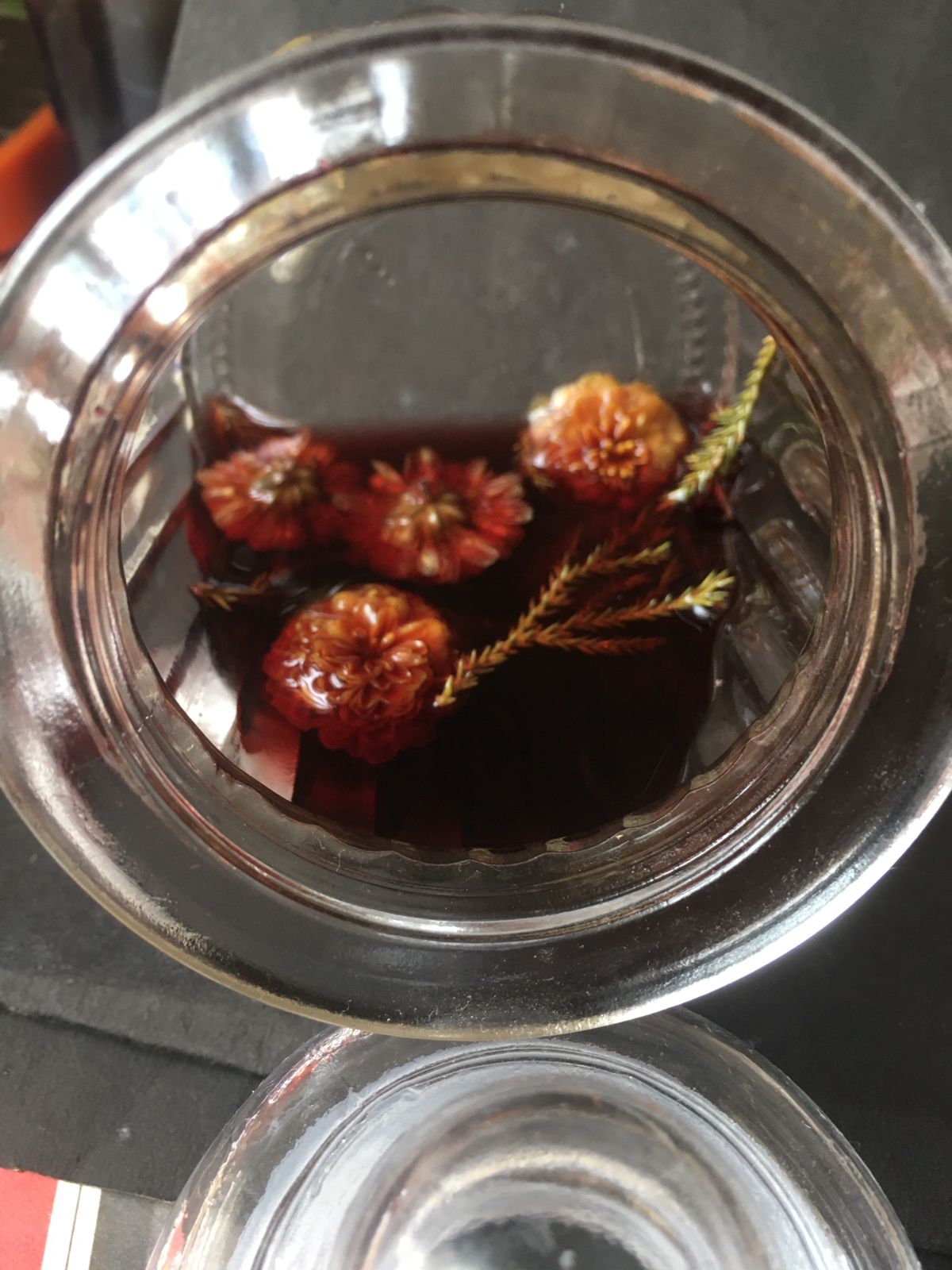 Red wine Yarrow Acne Nectar
