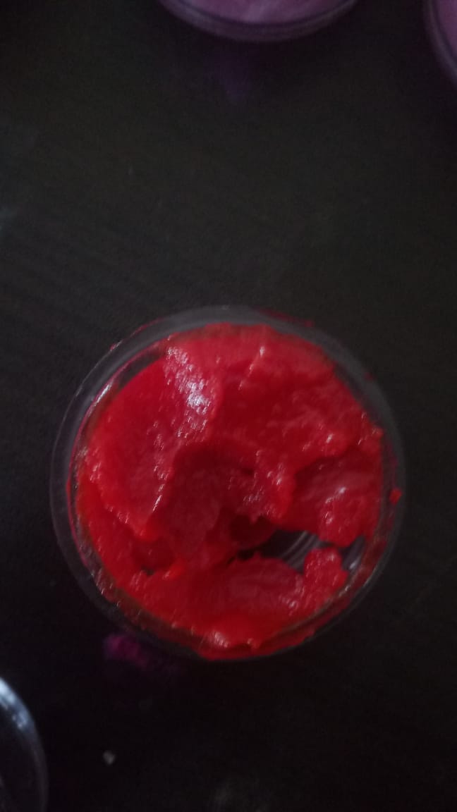 Rosy Red Lip Gloss