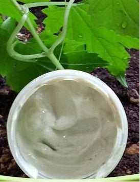 Moringa Clay Face Mask