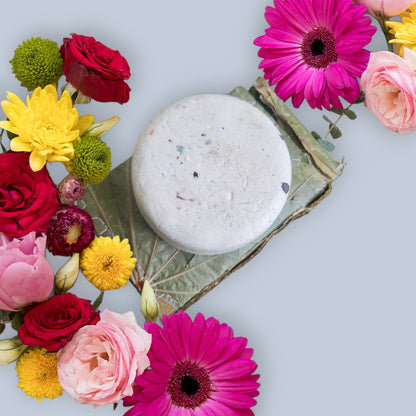 Masala Shampoo Bar Combo | SLS-Free Hair Care Set