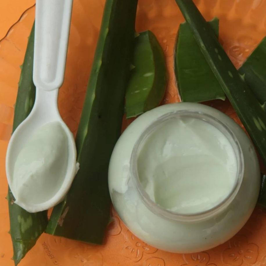 घृत कुमारी- Aloe Vera Cream/Lotion