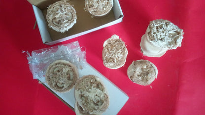 Ridge loofah Goat Milk Soap
